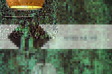 OXYD’ARTHE