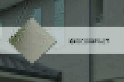 Фасадная штукатурка «BIOCOMPACT»