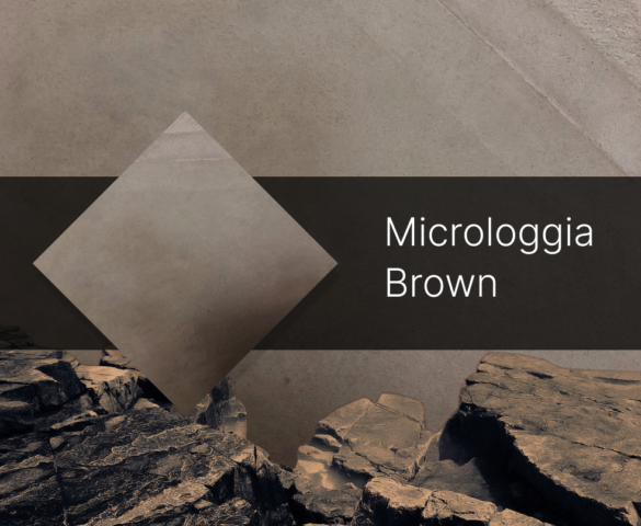 Microloggia Brown