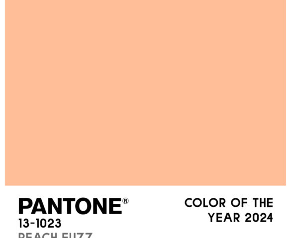 Коллеровка Pantone от Designer’s Paints: встречайте Peach Fuzz!
